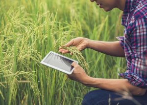 biznes-idei-dlja-selskogo-biznesa