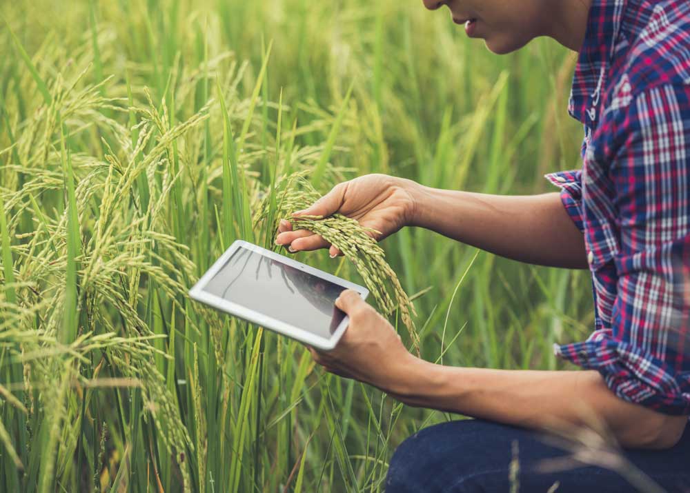 biznes-idei-dlja-selskogo-biznesa