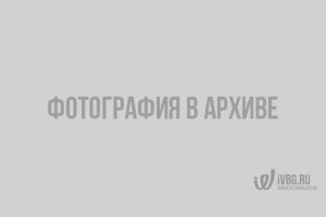 pochemu-banki-navjazyvajut-kreditnye-karty