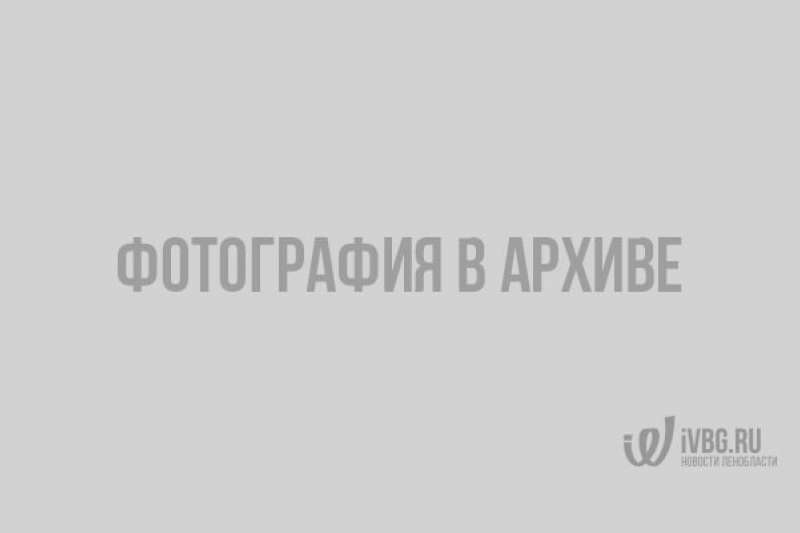 pochemu-banki-navjazyvajut-kreditnye-karty